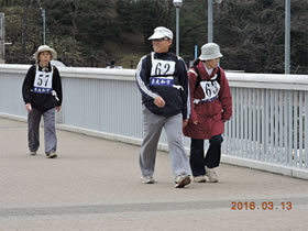 多摩湖下堰手上道路を歩く参加者の皆さん